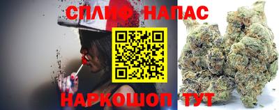 МДПВ Будённовск