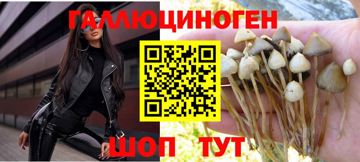 Галлюциногенные грибы GOLDEN TEACHER Курганинск
